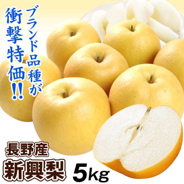 梨 5kg 新興梨 長野産 ご家庭用 ナシ なし 赤梨 和梨 名産地 送料無料 食品