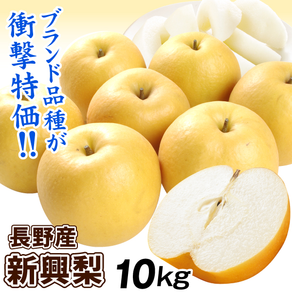 梨 10kg 新興梨 長野産 ご家庭用 ナシ なし 赤梨 和梨 名産地 送料無料 食品