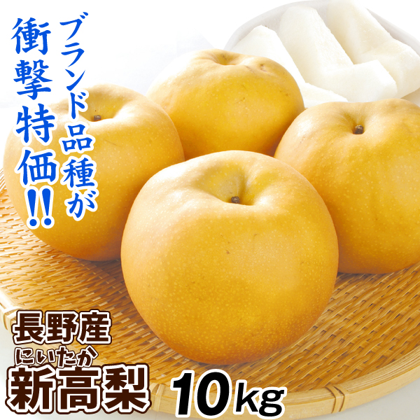 梨 10kg 新高梨 長野産 ご家庭用 ナシ なし 赤梨 和梨 名産地 送料無料 食品