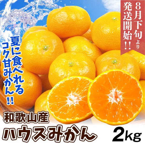 みかん ハウスみかん 2kg（400g×5パック） パック入り 和歌山産 送料無料 食品