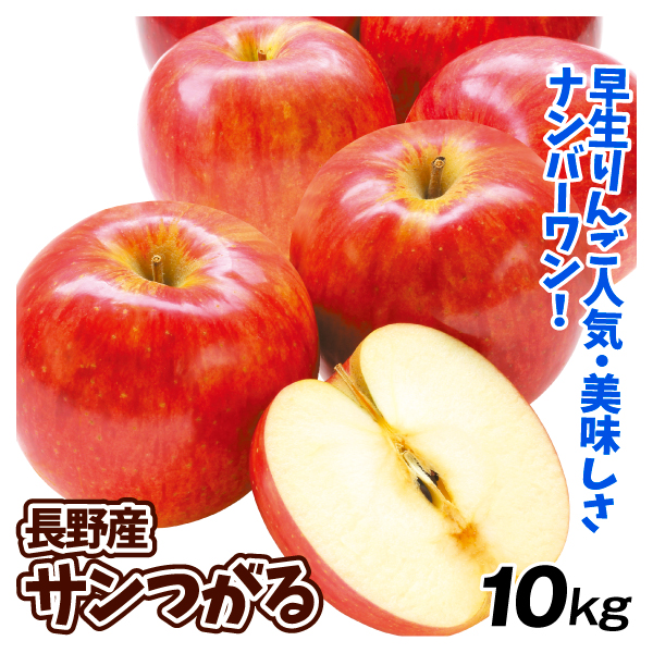 りんご 長野産 サンつがる 10kg 林檎 送料無料 食品