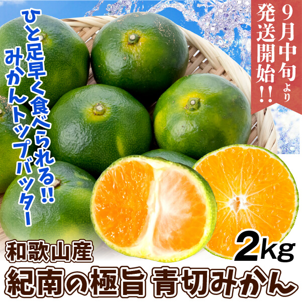 みかん 約2kg 紀南の極旨 青切りみかん 和歌山産 極早生 送料無料 食品