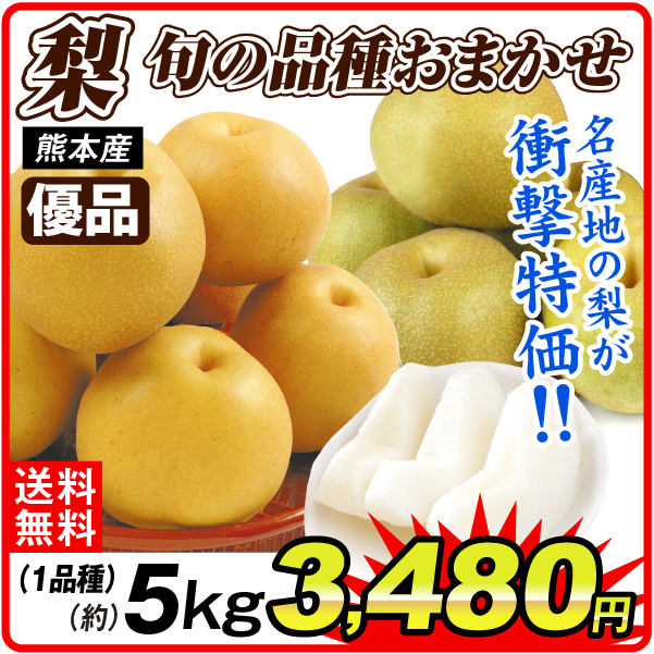 梨 約5kg(15～30玉) 優品 おまかせ和梨 熊本産 豊水 幸水 あきづき 新高 秋麗など 旬の品種を厳選してお届け 送料無料 食品