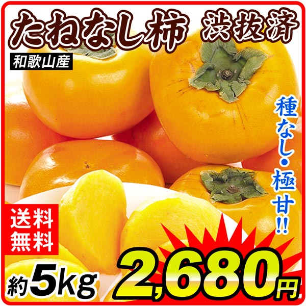 柿 約5kg 種なし柿 和歌山産 渋抜き済 送料無料 食品