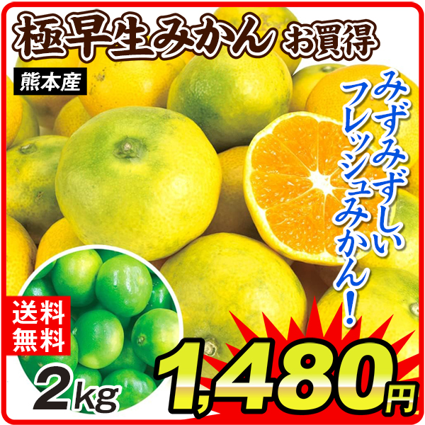 みかん 2kg ご家庭用 極早生みかん 熊本産 温州 柑橘 果物 フルーツ 国産 送料無料 食品