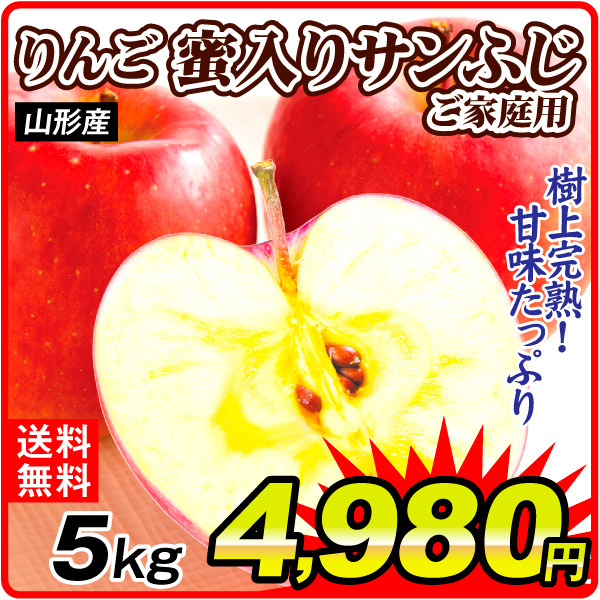 りんご 5kg 蜜入りサンふじ ご家庭用 山形産 林檎 果物 送料無料 食品