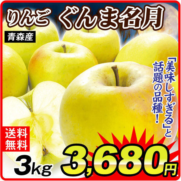 りんご 3kg ぐんま名月 ご家庭用 青森産 林檎 果物 送料無料 食品
