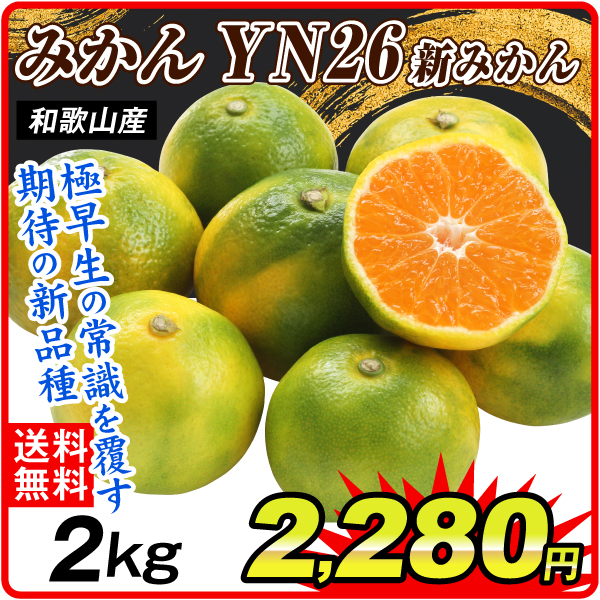 みかん 2kg YN26 プレミアム 柑橘 和歌山産 田辺の新みかん 紀南 極早生 送料無料 食品