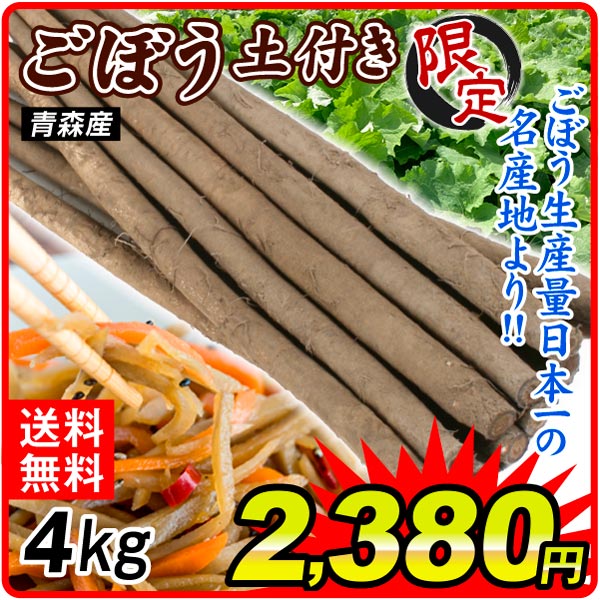 ごぼう 4kg 青森産 大特価ごぼう ご家庭用 送料無料 食品