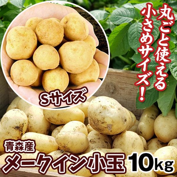 じゃがいも 10kg 青森産 メークイン【小玉】 送料無料 食品