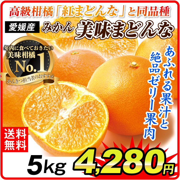 みかん 5kg 愛媛産 美味まどんな ご家庭用 送料無料 食品