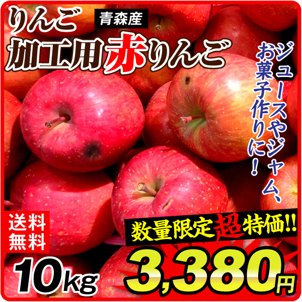 りんご 青森産 加工用 赤りんご 10kg 訳あり 送料無料 食品