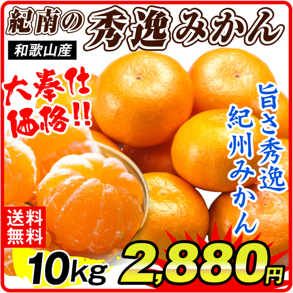みかん 10kg 紀南の秀逸みかん 和歌山産 ご家庭用 送料無料 食品