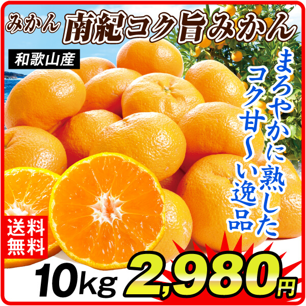 みかん 10kg 南紀コク旨みかん 和歌山産 ご家庭用 送料無料 食品