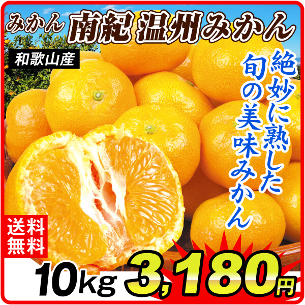 みかん 10kg 南紀温州みかん 和歌山産 ご家庭用 送料無料 食品