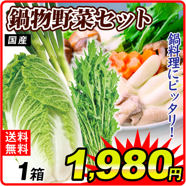 野菜セット 鍋物野菜セット 3品目 1箱 国産 白ネギ 白菜 水菜 詰め合わせ 鍋料理 送料無料 食品