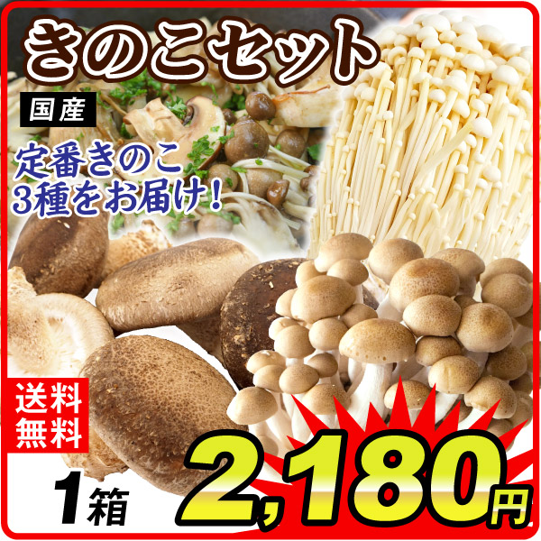 野菜セット きのこセット 3品目 1箱 国産 しめじ えのき しいたけ 詰め合わせ 送料無料 食品