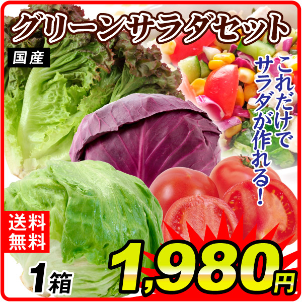 野菜セット グリーンサラダセット 4品目 1箱 国産 レタス レッドキャベツ サニーレタス トマト 詰め合わせ 送料無料 食品