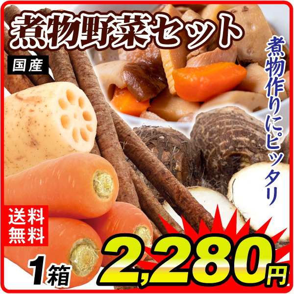 野菜セット 煮物野菜セット 4品目 1箱 国産 里芋 にんじん れんこん ごぼう 詰め合わせ 送料無料 食品