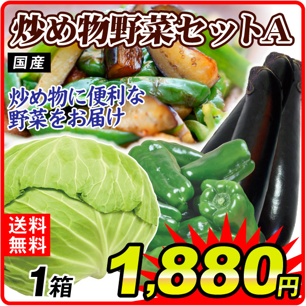野菜セット 炒め物野菜セットA 3品目 1箱 国産 キャベツ ピーマン なすび 詰め合わせ 送料無料 食品