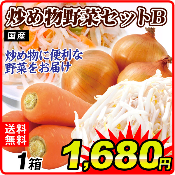 野菜セット 炒め物野菜セットB 3品目 1箱 国産 たまねぎ にんじん もやし 詰め合わせ 送料無料 食品