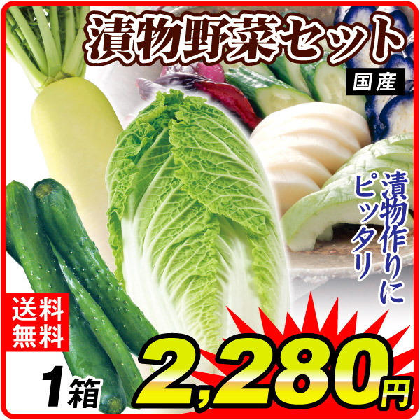 野菜セット 漬物野菜セット 3品目 1箱 国産 きゅうり 大根 白菜 詰め合わせ 送料無料 食品