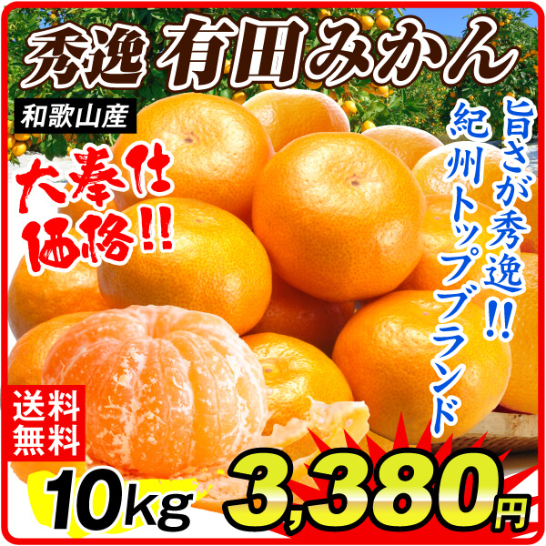 和歌山秀逸有田みかん