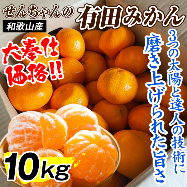 みかん 10kg せんちゃんの有田みかん 和歌山産 送料無料 食品