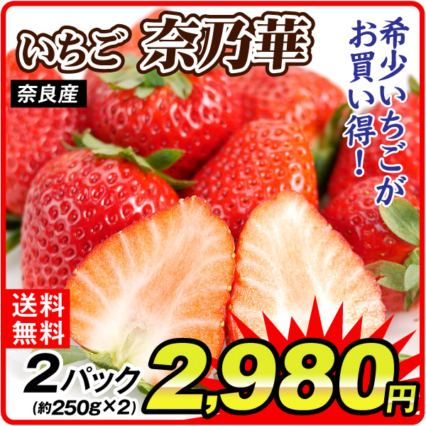 いちご 奈乃華 約500g（250g×2パック）奈良産 ご家庭用 送料無料 冷蔵便 食品