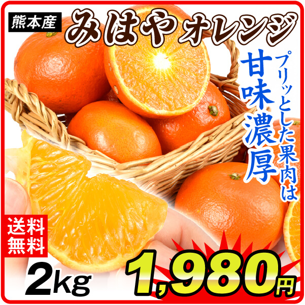 みかん 2kg みはやオレンジ 熊本産 みはや 蜜柑 ご家庭用 柑橘 オレンジ 新品種 送料無料 食品 国華園