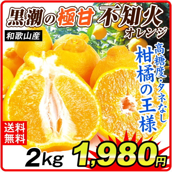 みかん 2kg 黒潮の極甘 不知火 しらぬい 和歌山産 ご家庭用 デコポンと同品種 送料無料 食品
