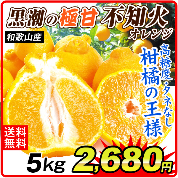 みかん 5kg 黒潮の極甘 不知火 しらぬい 和歌山産 ご家庭用 デコポンと同品種 送料無料 食品