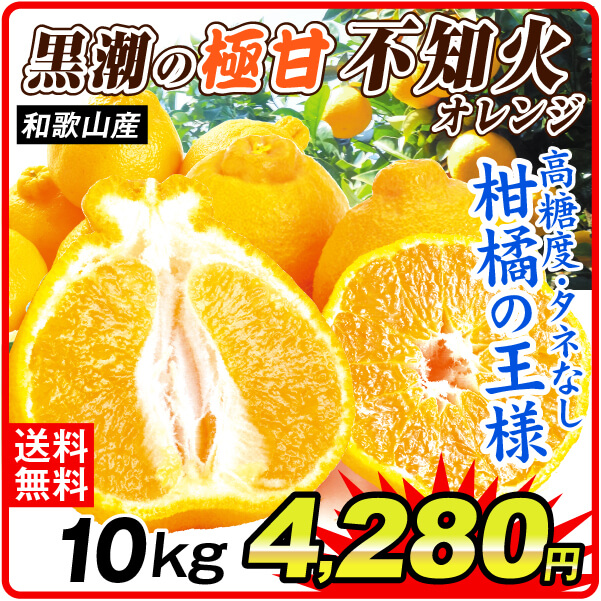 みかん 10kg 黒潮の極甘 不知火 しらぬい 和歌山産 ご家庭用 デコポンと同品種 送料無料 食品