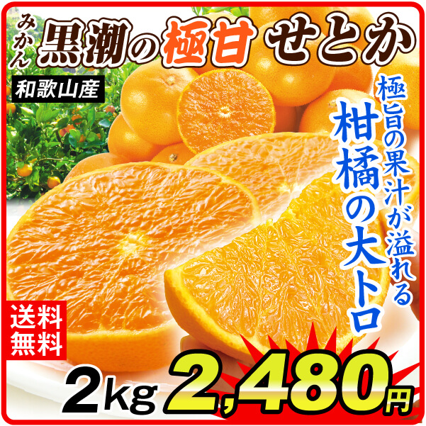 みかん 2kg 黒潮の極甘 せとか 和歌山産 ご家庭用 高級 送料無料 食品
