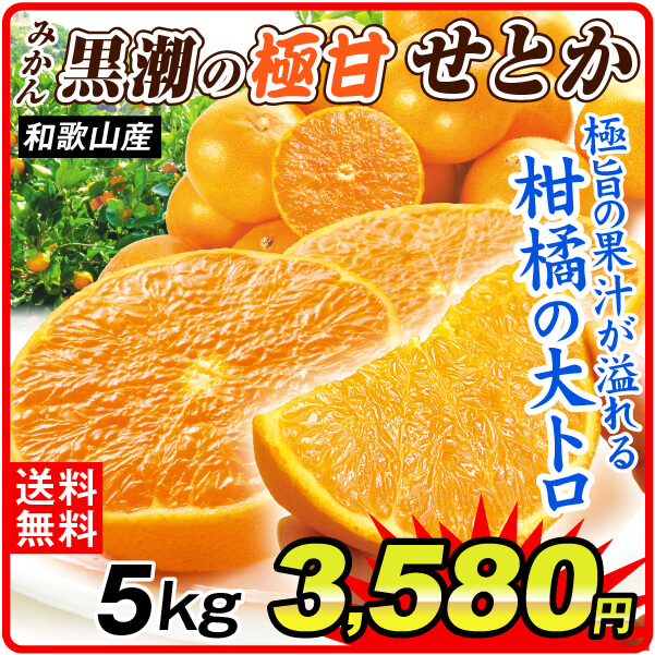 みかん 5kg 黒潮の極甘 せとか 和歌山産 ご家庭用 高級 送料無料 食品