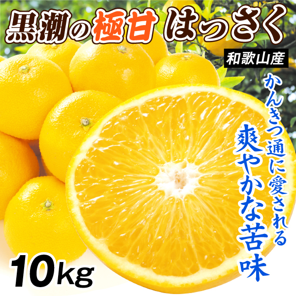 みかん 10kg 黒潮の極甘 はっさく 八朔 和歌山産 ご家庭用 送料無料 食品