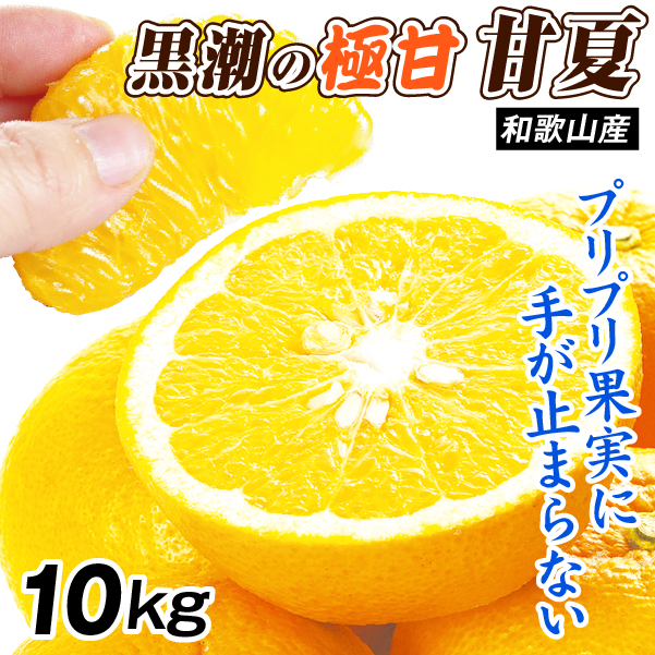 みかん 10kg 黒潮の極甘 甘夏 あまなつ 和歌山産 ご家庭用 送料無料 食品