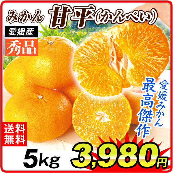 みかん 5kg 甘平 秀品 愛媛産 大特価 かんぺい カンペイ ミカン 送料無料 食品