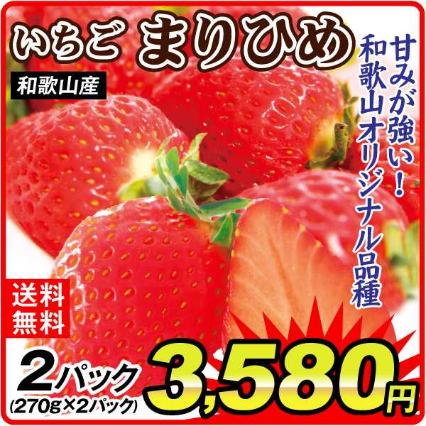 いちご まりひめ 540g（270g×2パック）和歌山産 ご家庭用 送料無料 常温便 食品