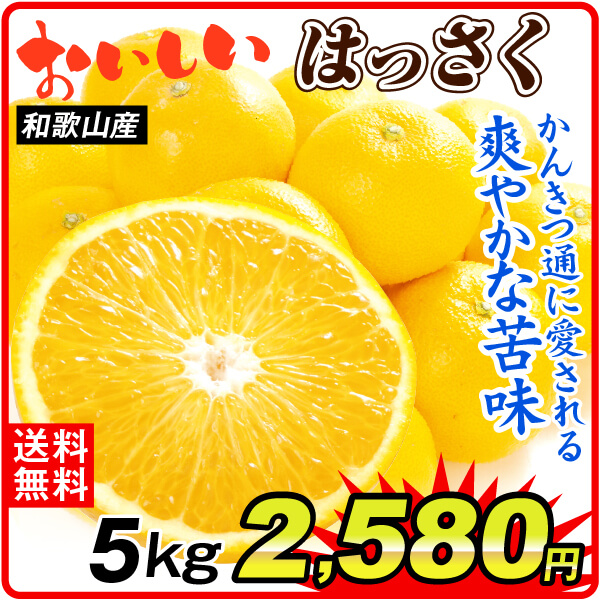みかん 5kg おいしい はっさく 八朔 和歌山産 ご家庭用 送料無料 食品