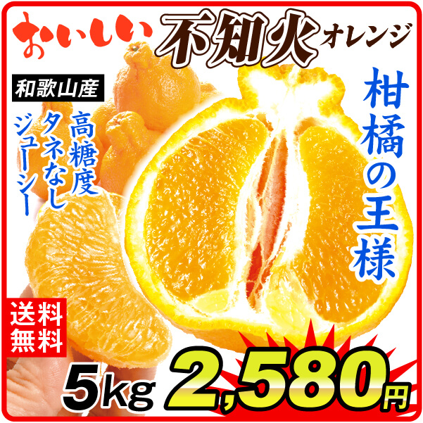 みかん 5kg おいしい 不知火 しらぬい 和歌山産 ご家庭用 デコポンと同品種 送料無料 食品