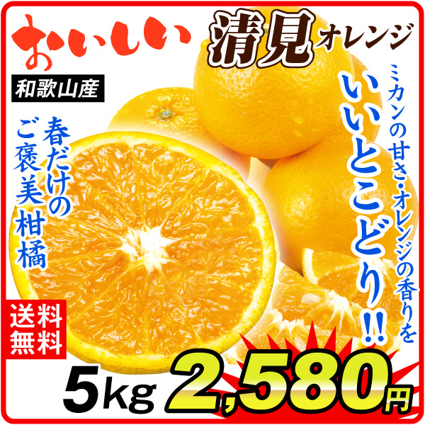 みかん 5kg おいしい 清見 オレンジ きよみ 和歌山産 ご家庭用 送料無料 食品