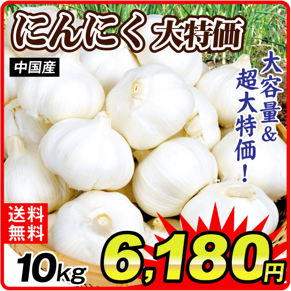 にんにく 大特価 中国産 にんにく 10kg 送料無料 食品