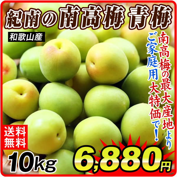 梅 10kg 紀南の南高梅 青梅 和歌山産 ご家庭用 うめ 常温便 送料無料 食品