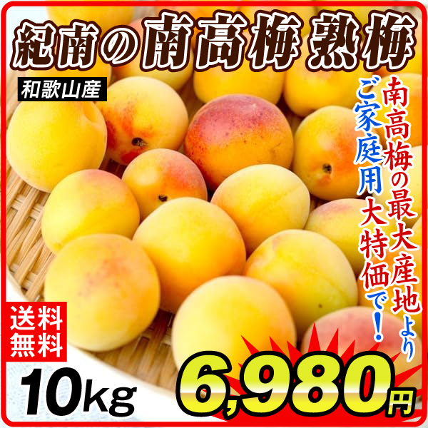 梅 10kg 紀南の南高梅 熟梅 和歌山産 ご家庭用 うめ 常温便 送料無料 食品