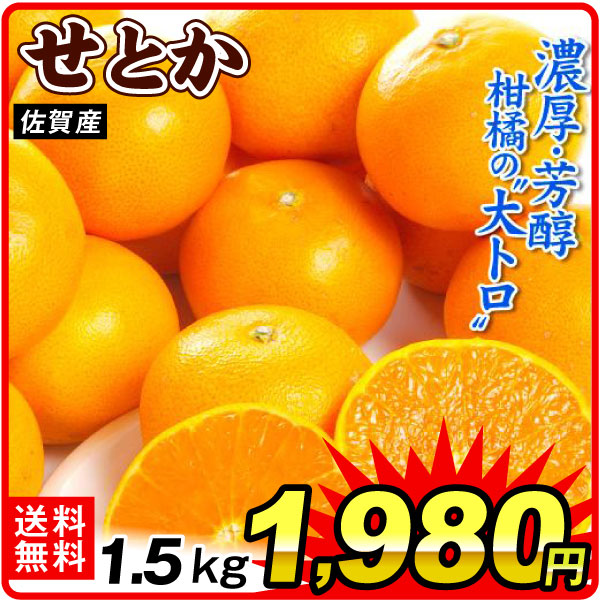 みかん 1.5kg せとか 佐賀産 ご家庭用 柑橘 高級 果物 フルーツ 送料無料 食品