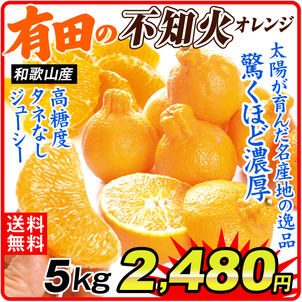 みかん 5kg 有田の不知火 不知火 しらぬい 和歌山産 送料無料 食品