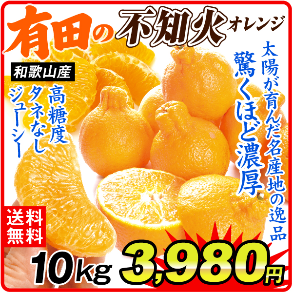 みかん 10kg 有田の不知火 不知火 しらぬい 和歌山産 送料無料 食品