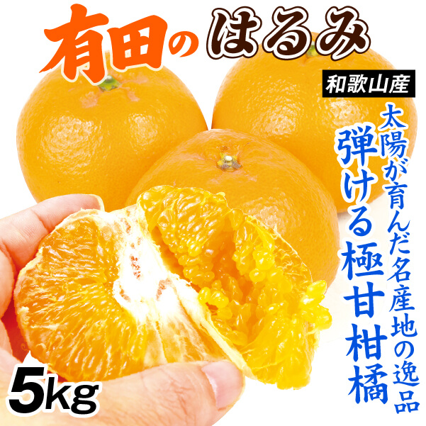 みかん 5kg 有田のはるみ はるみ 和歌山産 ご家庭用 送料無料 食品