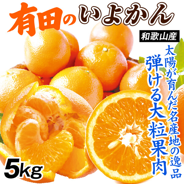 みかん 5kg 有田のいよかん 伊予柑 和歌山産 ご家庭用 送料無料 食品